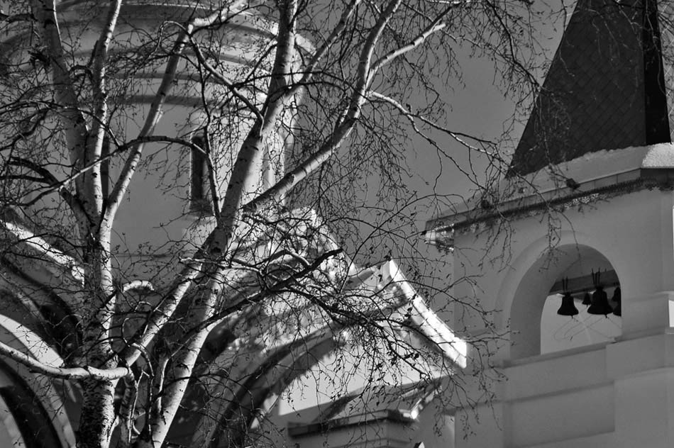 photo "***" tags: genre, 