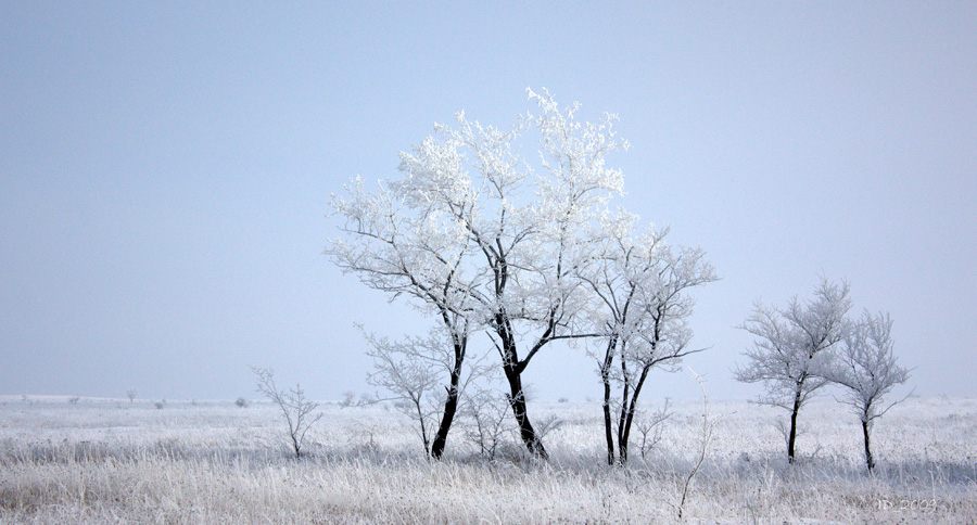 photo "Winter steppe" tags: , 