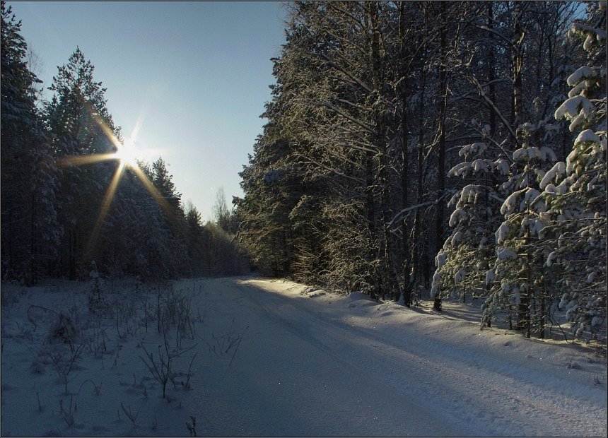 фото "Январское Cпокойствие" метки: пейзаж, зима