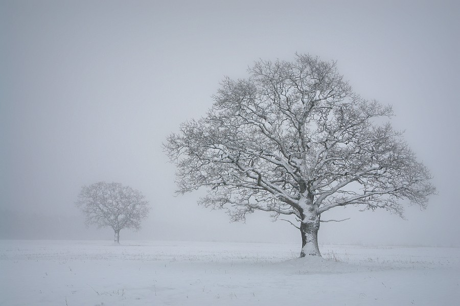 photo "зима" tags: landscape, winter