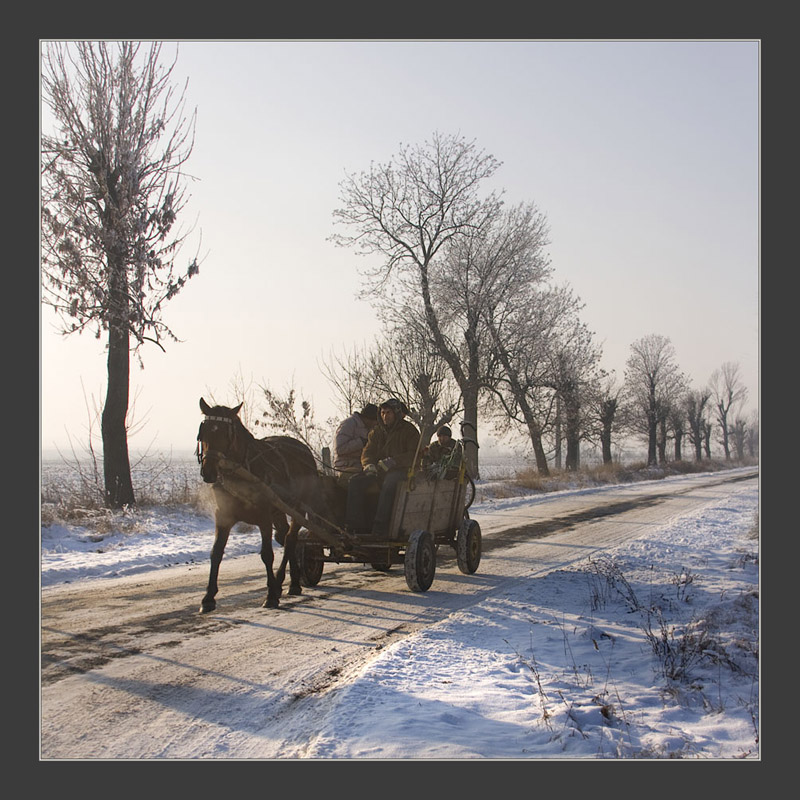 фото "Zima" метки: жанр, 