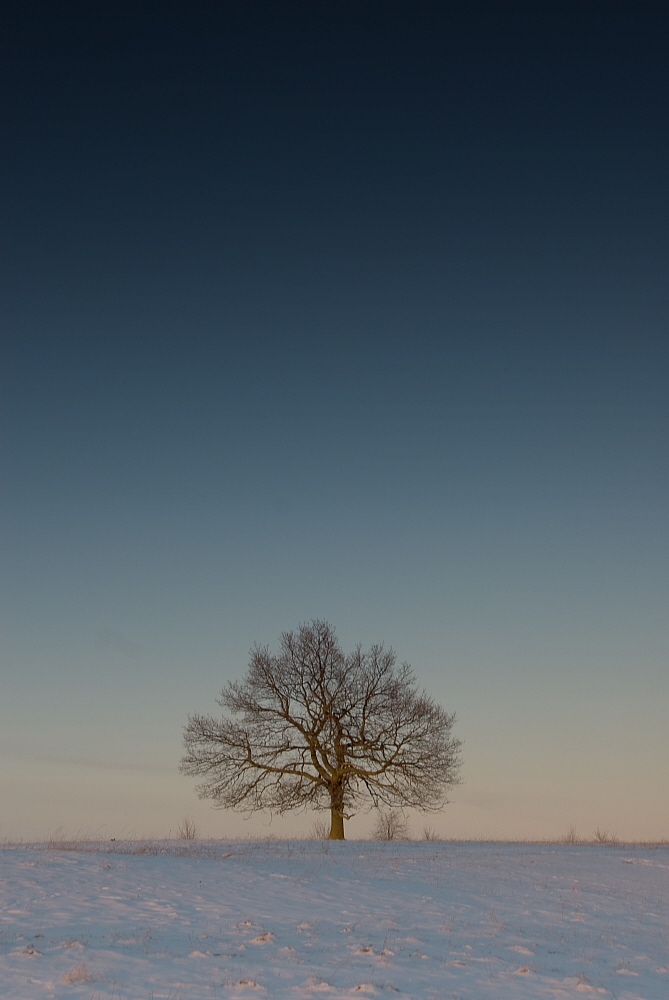 фото "tree#2" метки: пейзаж, зима