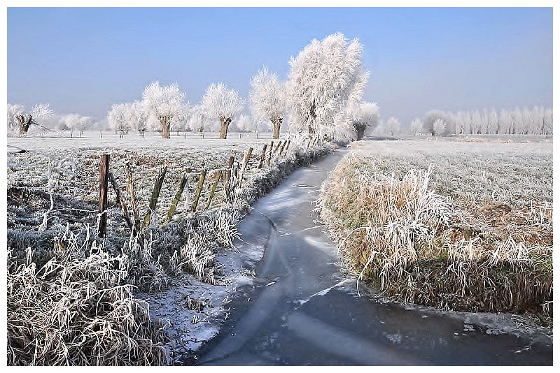 photo "My region." tags: landscape, winter