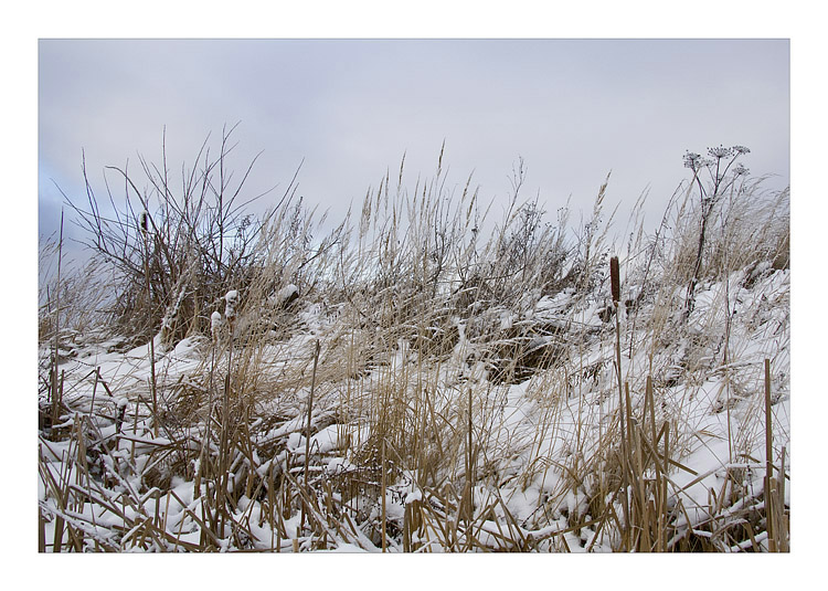 photo "***" tags: landscape, winter