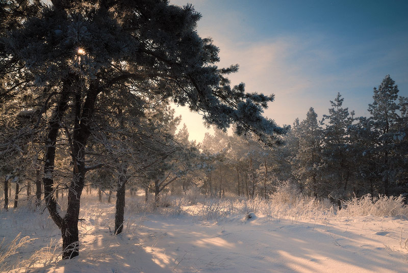 фото "Серебро с позолотой" метки: пейзаж, зима
