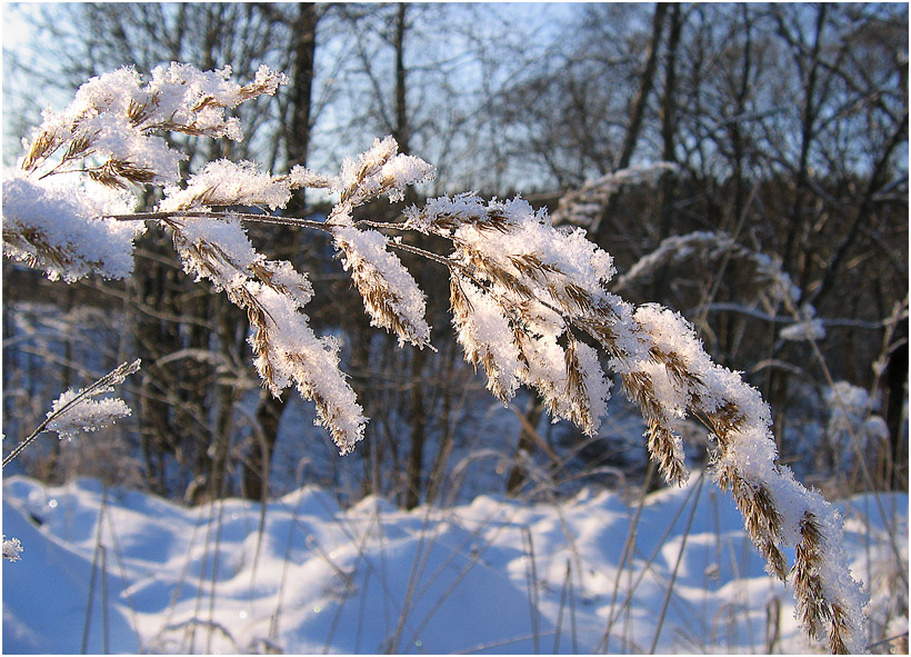 photo "***" tags: landscape, winter