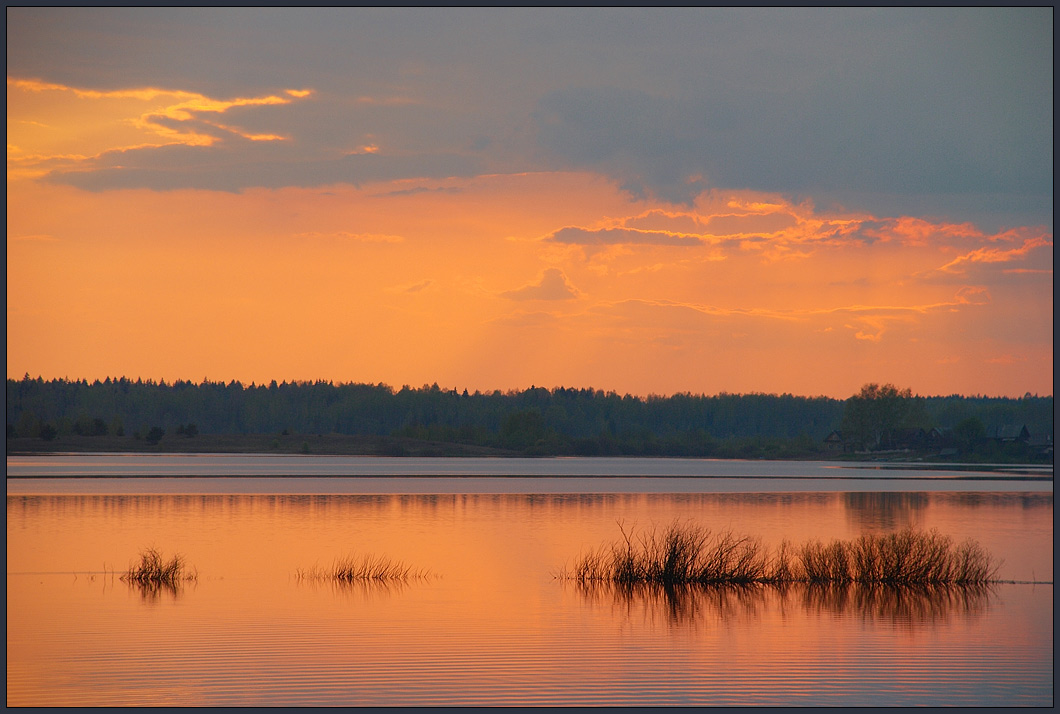 photo "May evening" tags: landscape, spring, water