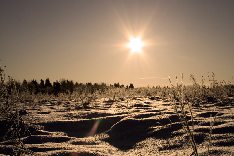 photo "***" tags: landscape, sunset, winter