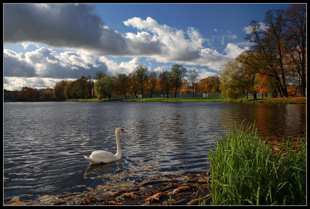 photo "***" tags: landscape, autumn, water