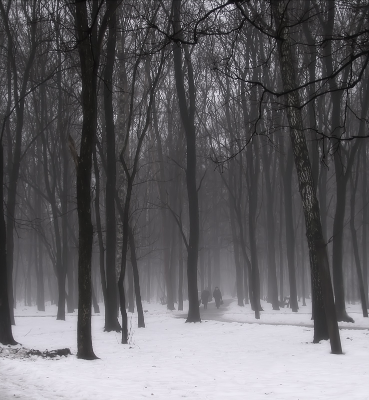 photo "***" tags: landscape, winter