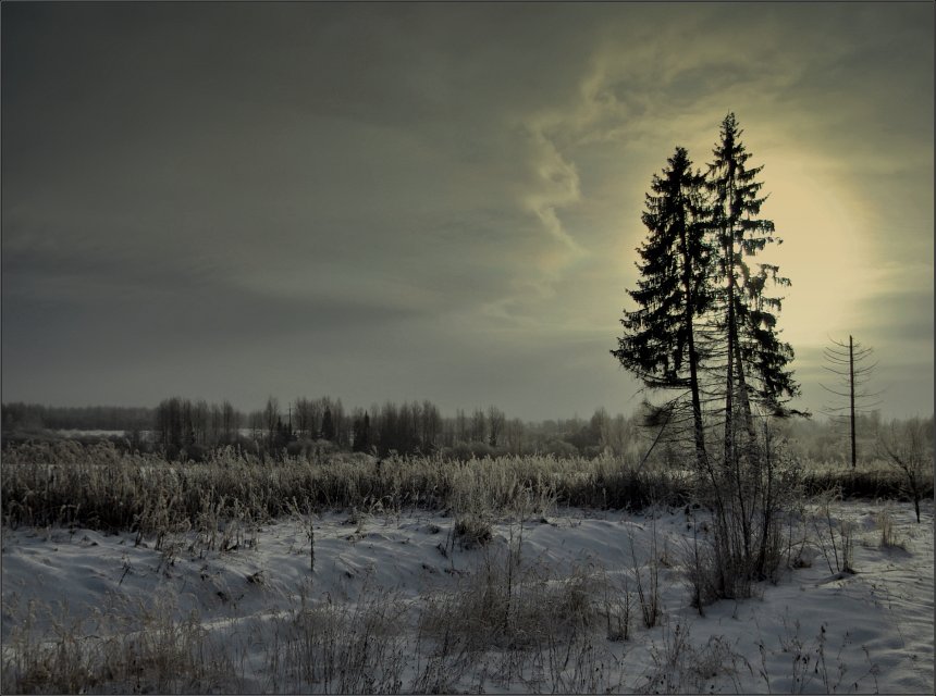 фото "Метель прошла" метки: пейзаж, зима