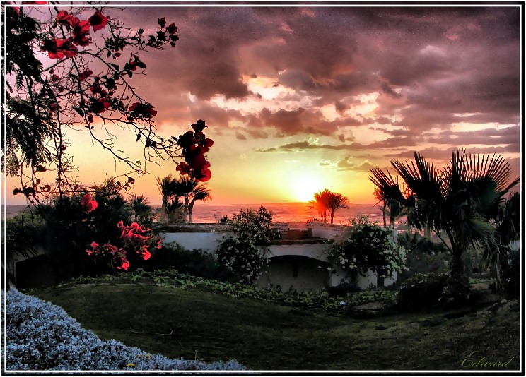 photo "Red Sea in January" tags: landscape, travel, Asia, sunset