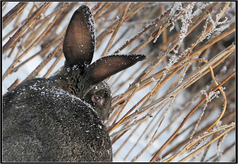 фото "***" метки: , 