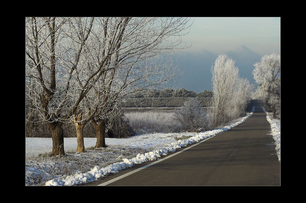 фото "frozen way" метки: пейзаж, зима