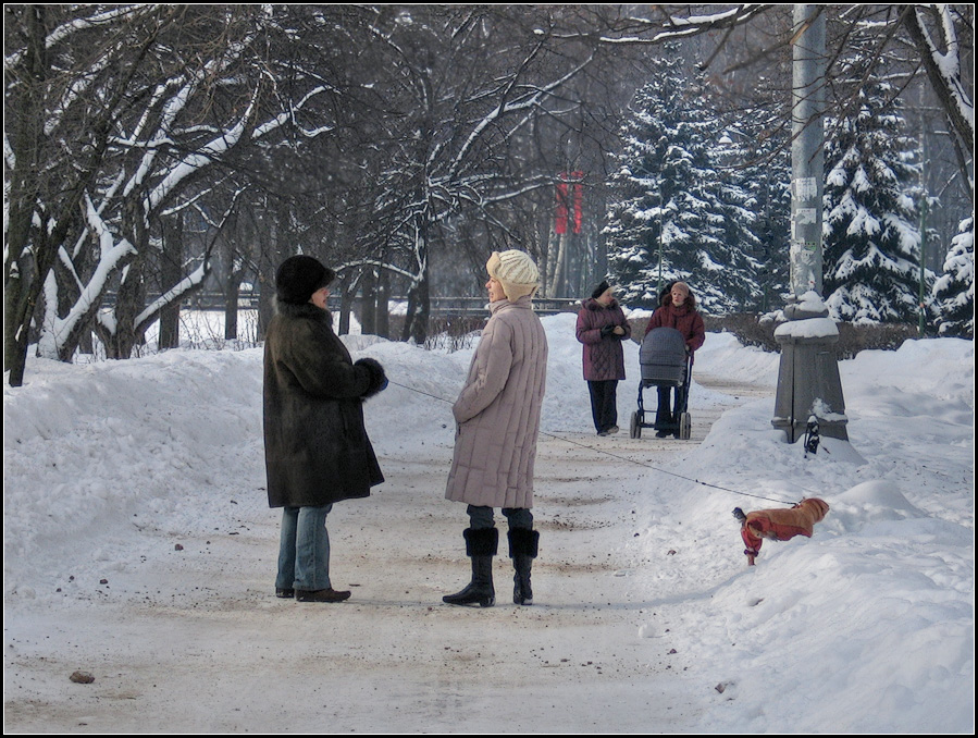 фото "про собачку))" метки: город, жанр, 