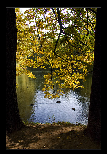 фото "б\н" метки: пейзаж, осень