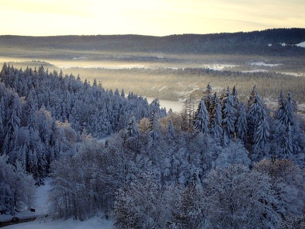 photo "***" tags: landscape, forest, winter