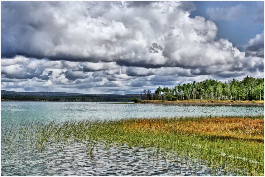 photo "Green Lake" tags: landscape, summer, water