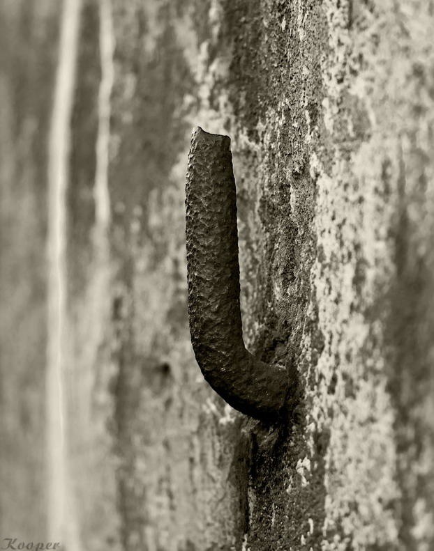 photo "***" tags: macro and close-up, abstract, 