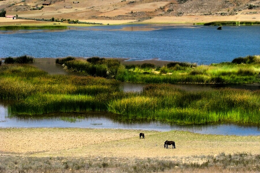 photo "San Nicolas II" tags: landscape, water