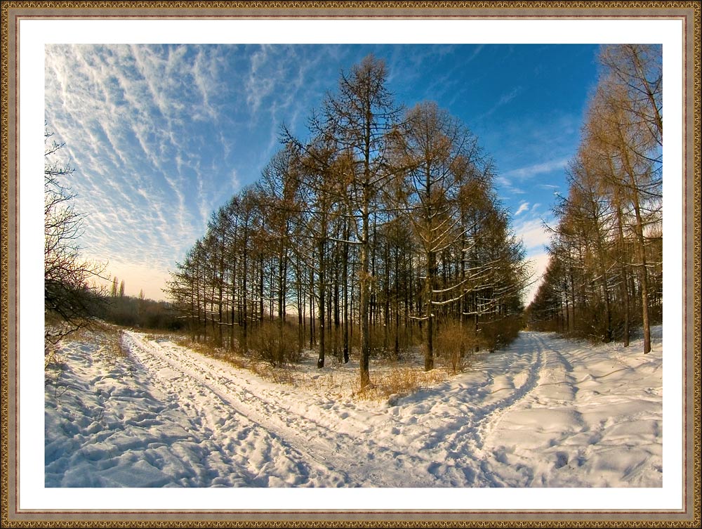 фото "Зимними тропами" метки: пейзаж, зима, лес