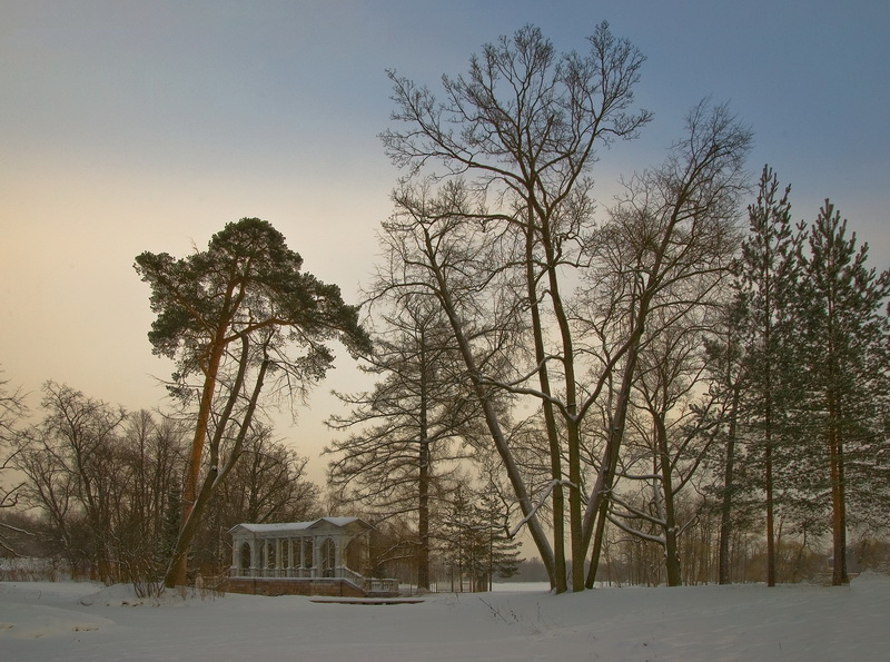 фото "Зимняя зарисовка" метки: пейзаж, зима, лес