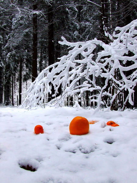 photo "***" tags: landscape, winter