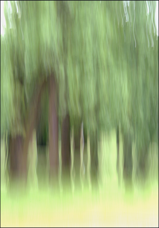 photo "A water-colour forest" tags: abstract, landscape, forest