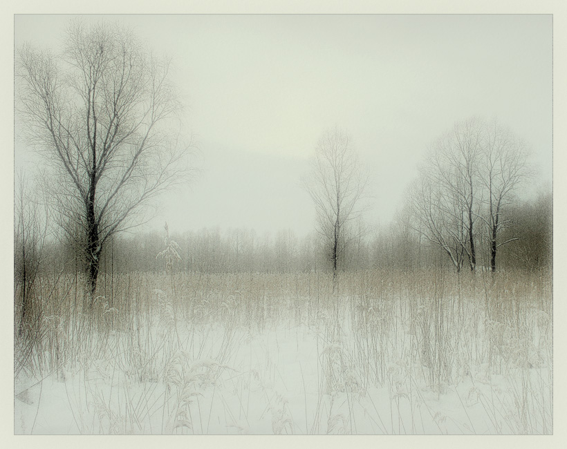 photo "Winter" tags: landscape, forest, winter