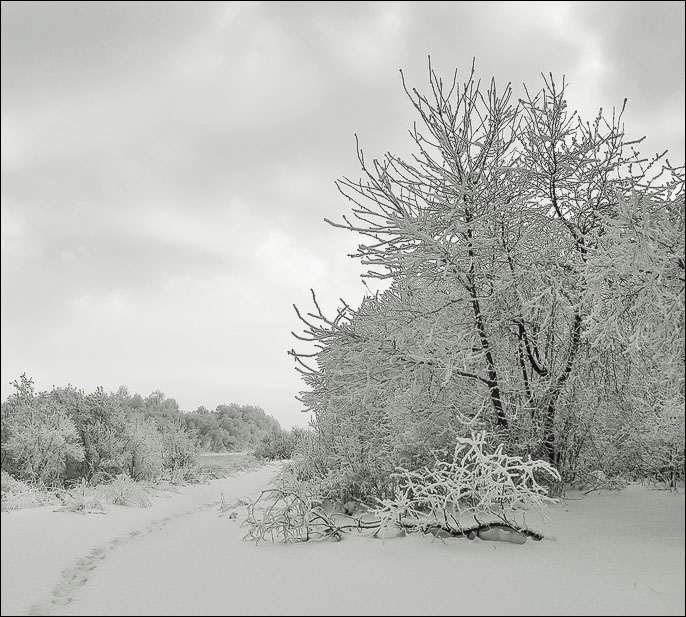 photo "***" tags: black&white, landscape, winter