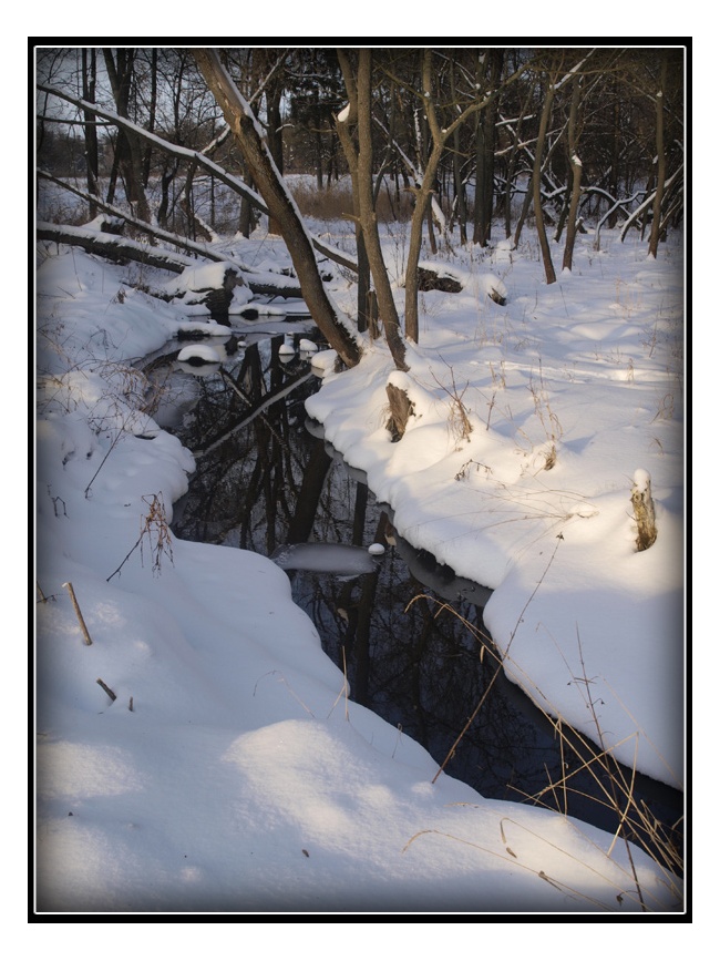 фото "Ручей" метки: пейзаж, вода, зима