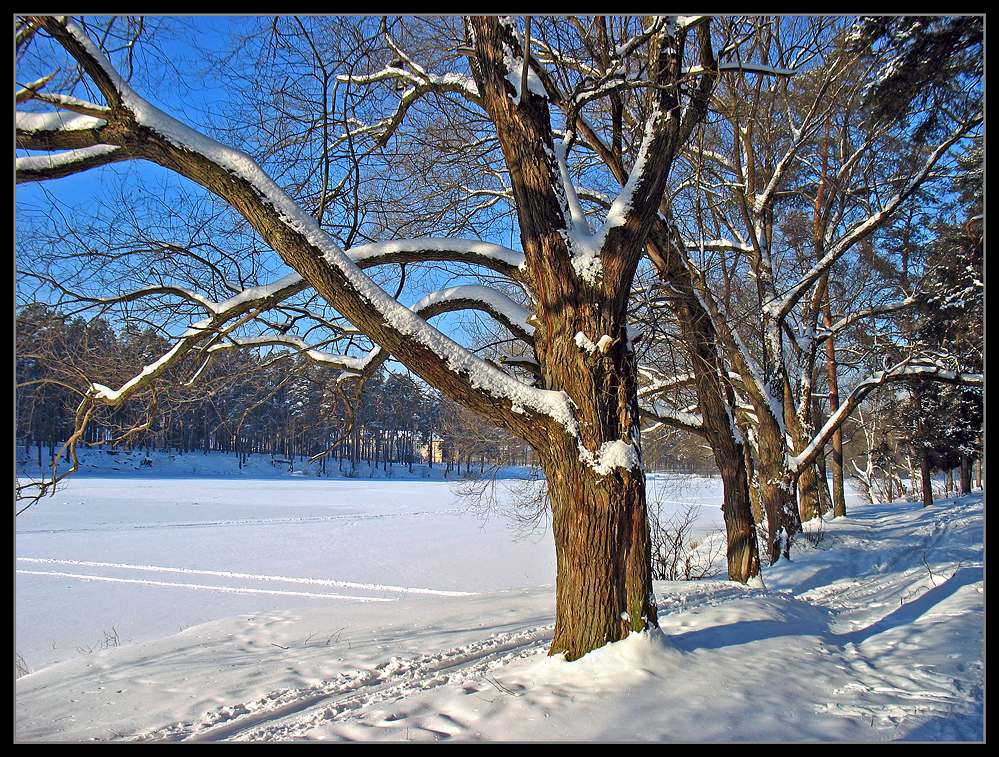 photo "***" tags: landscape, winter