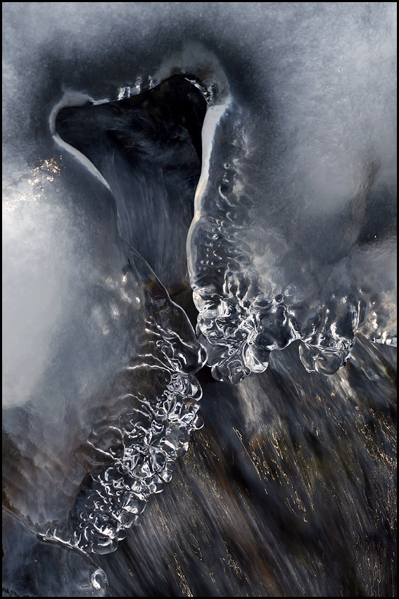 photo "Bleeding heart" tags: landscape, water, winter