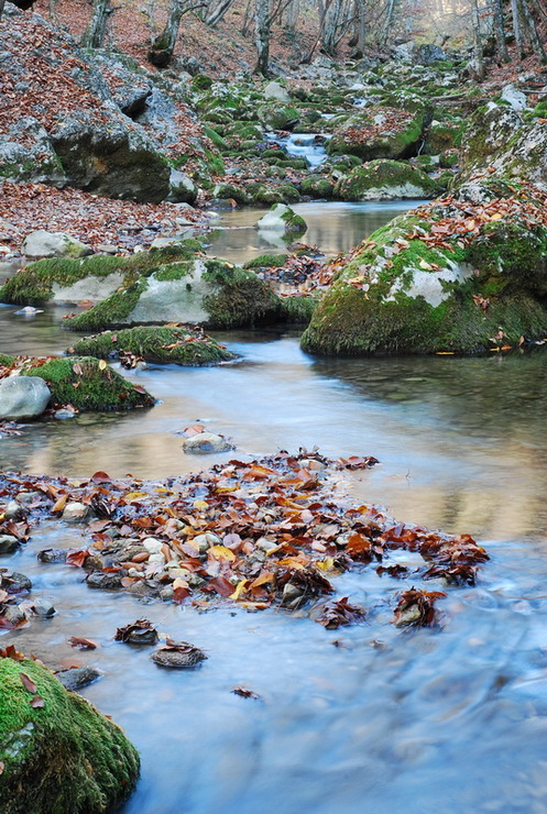 photo "***" tags: landscape, autumn, water