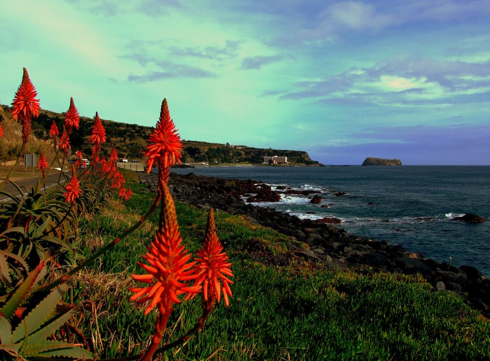 photo "Azorean Calendar - December" tags: travel, landscape, Europe, water