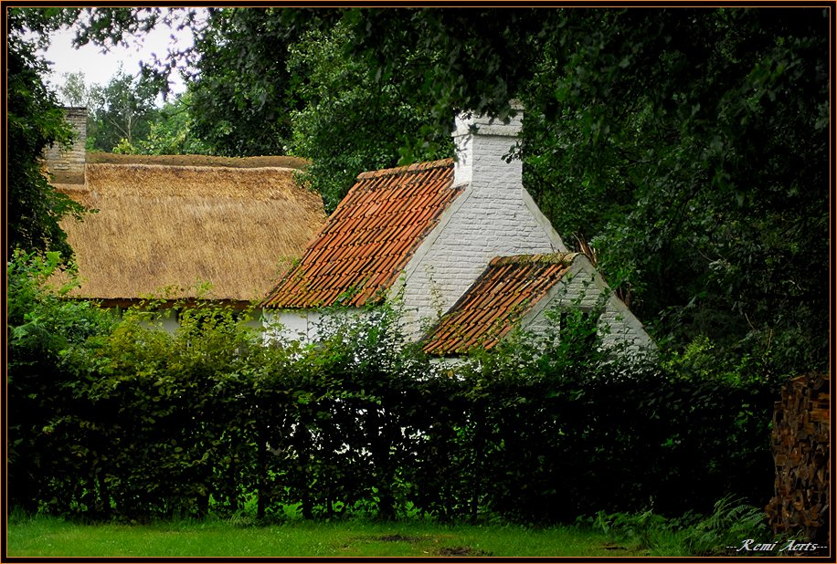 photo "behind the hedge" tags: architecture, landscape, summer