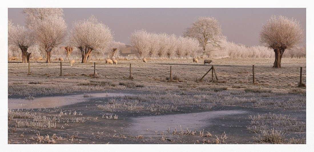 photo "My region." tags: landscape, winter