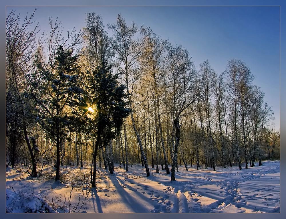 photo "Purple Tuesday" tags: landscape, sunset, winter