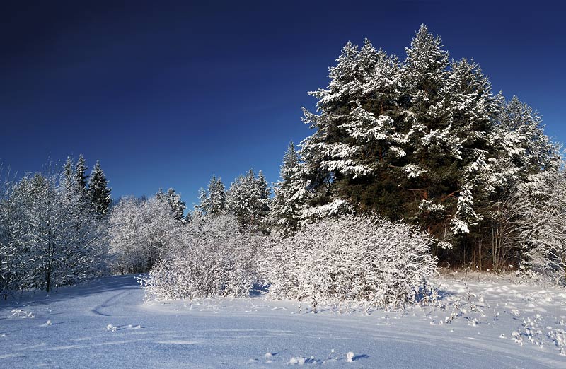 photo "***" tags: landscape, winter