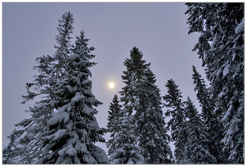 photo "***" tags: landscape, night, winter