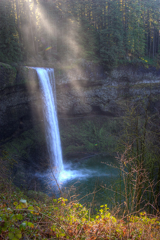 photo "Two streams" tags: landscape, forest, water