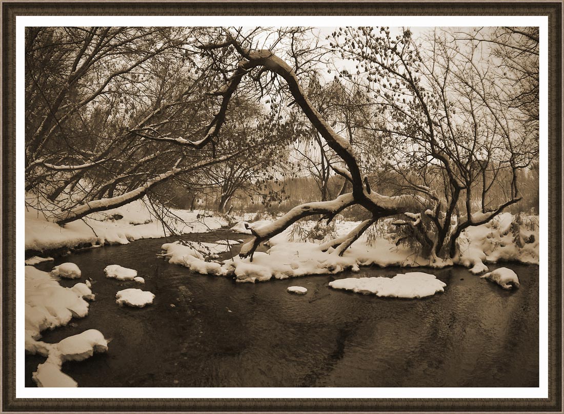 фото "Зима в старом парке" метки: пейзаж, зима