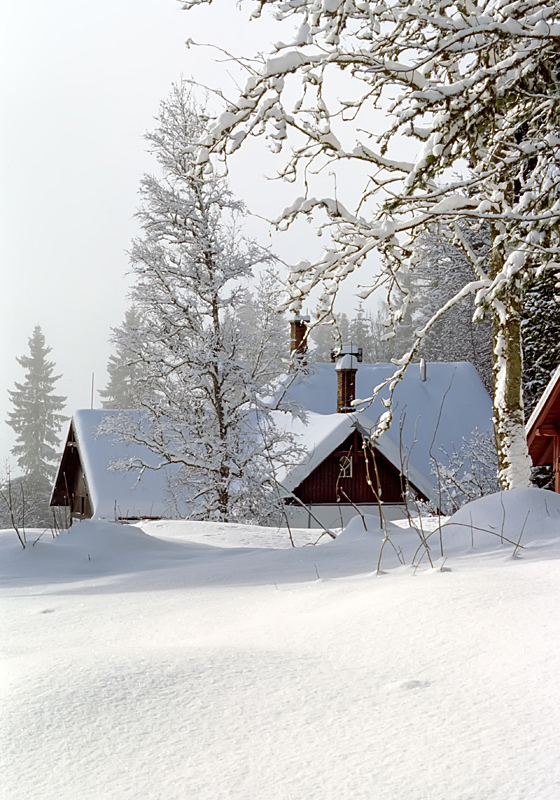 photo "***" tags: landscape, winter