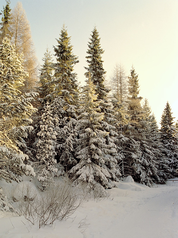 photo "***" tags: landscape, winter