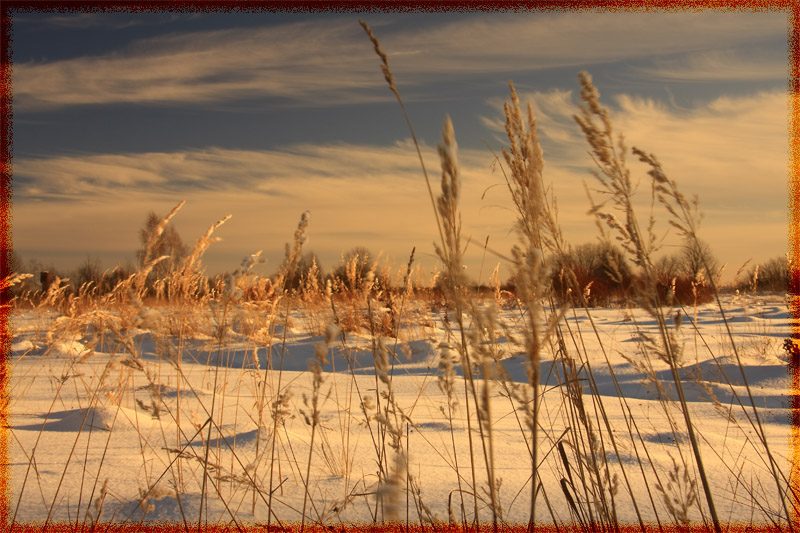 photo "***" tags: landscape, winter