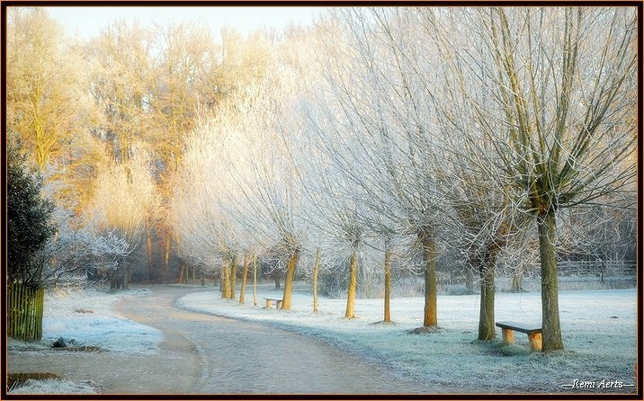 photo "S way" tags: landscape, winter