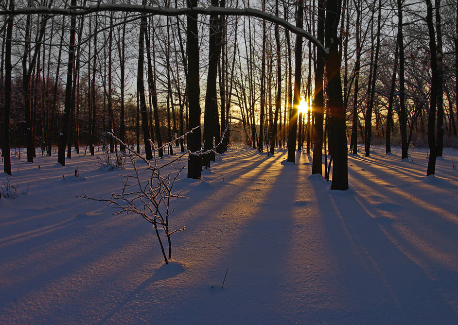 photo "***" tags: landscape, sunset, winter