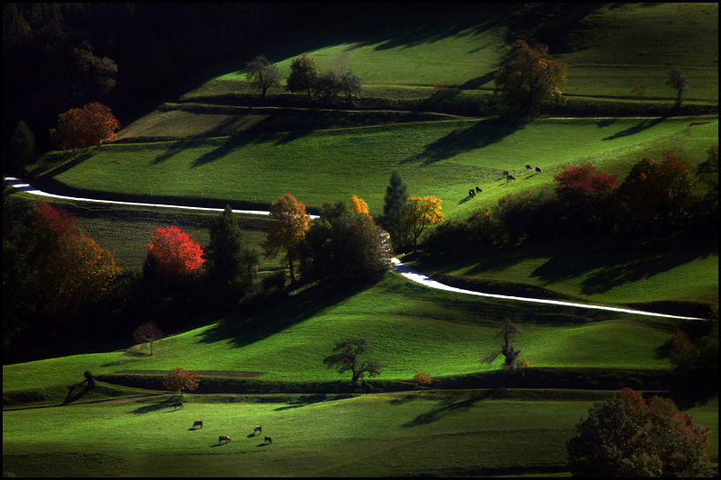 фото "Back to Autumn" метки: пейзаж, природа, домашние животные, осень