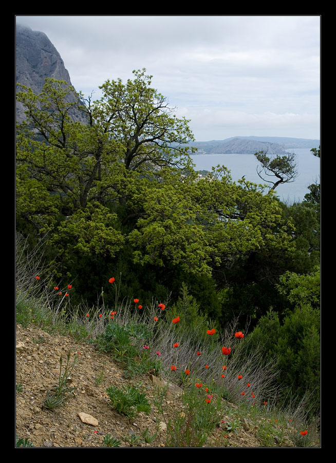 photo "***" tags: landscape, 