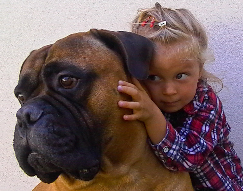 фото "My bodyguard" метки: природа, домашние животные
